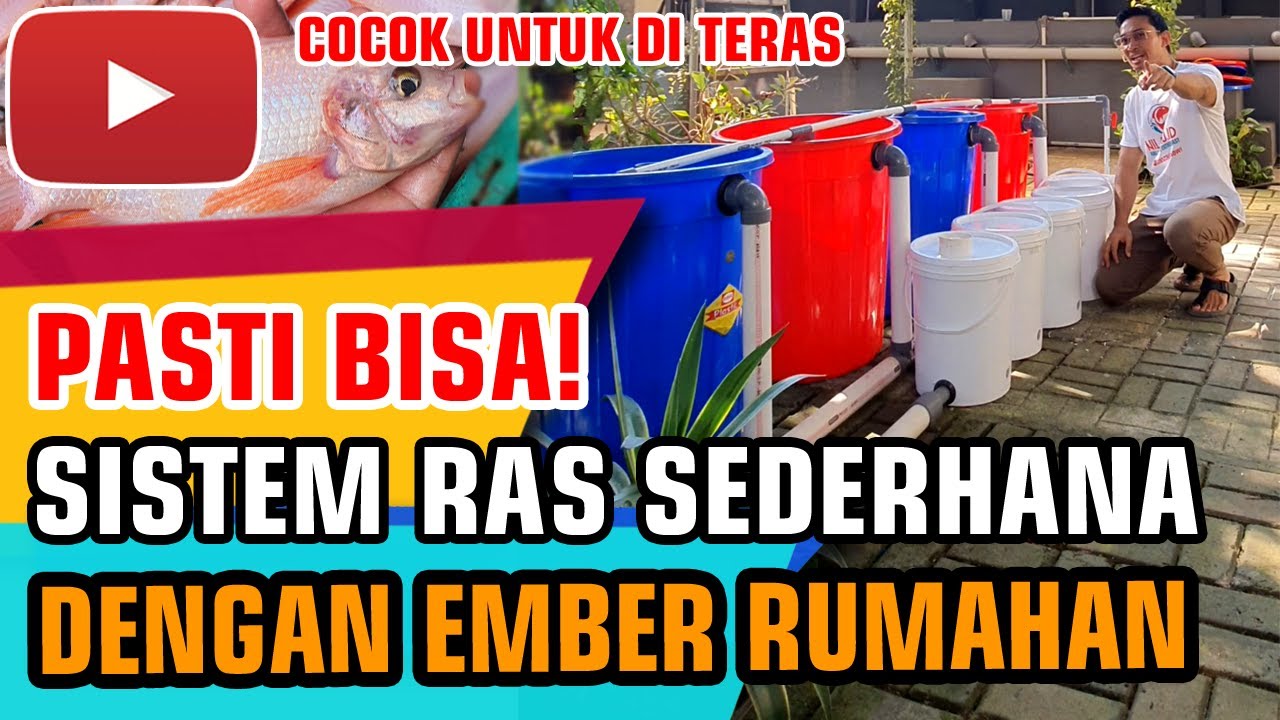 Membuat Sistem RAS Sederhana - Budidaya Ikan Nila Urban Farming