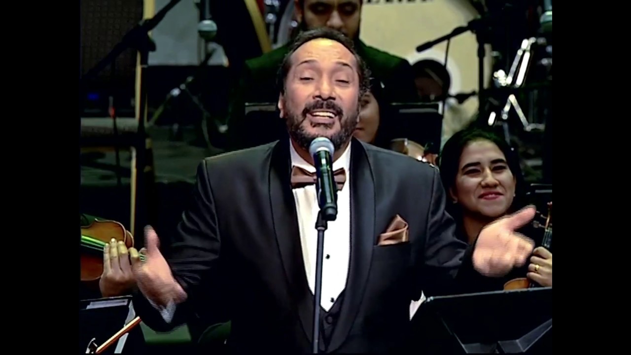 ريشة  - على الحجار