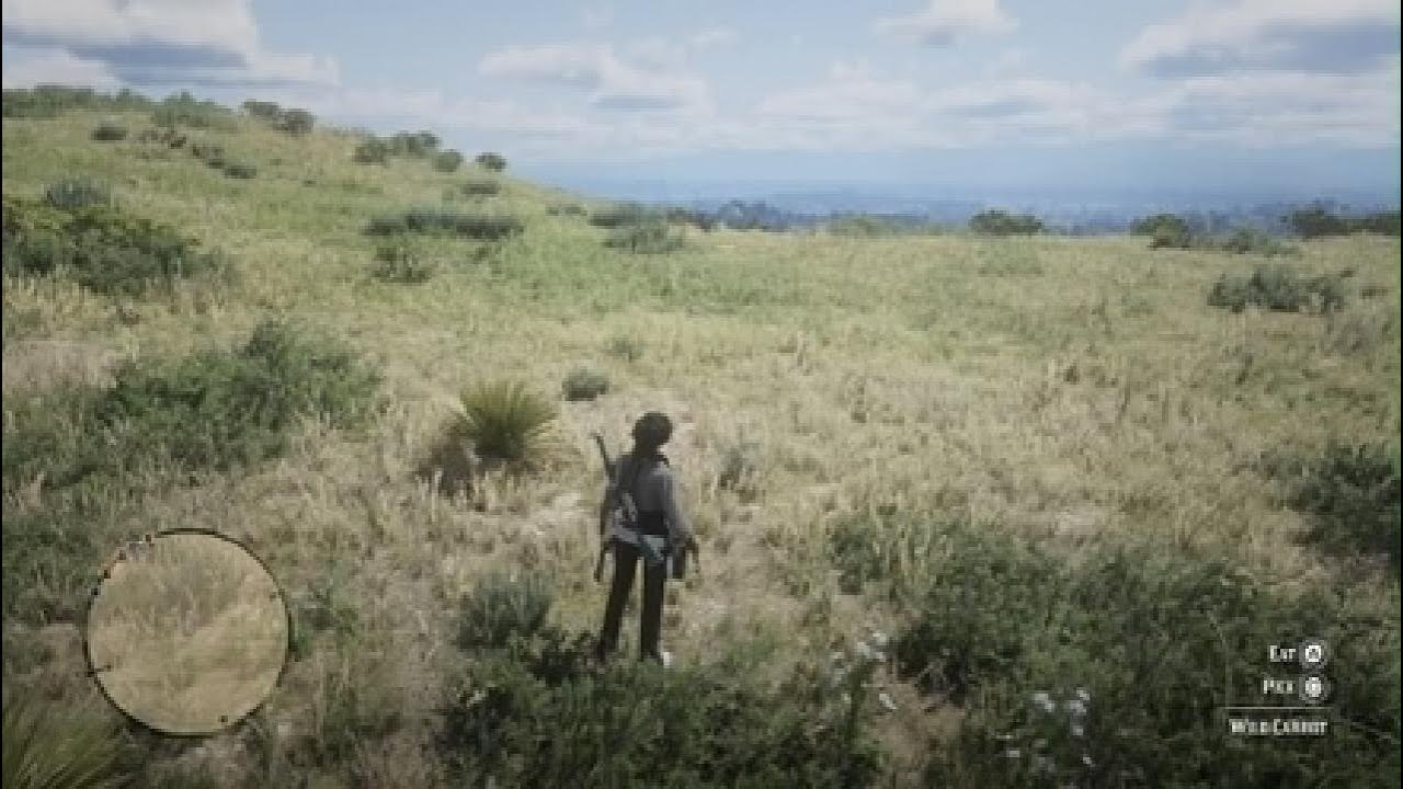 العوده  لي ريد ديد  