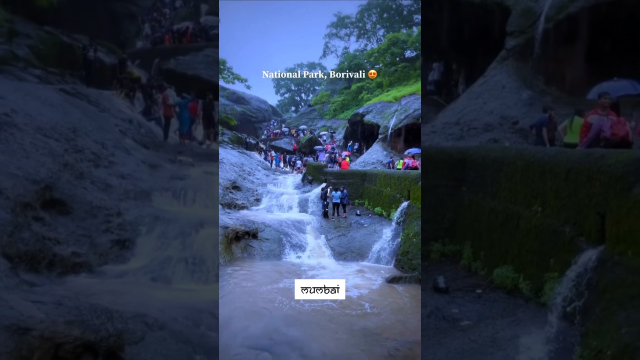 National park Borivali | Sanjay Gandhi National Park travel #shorts