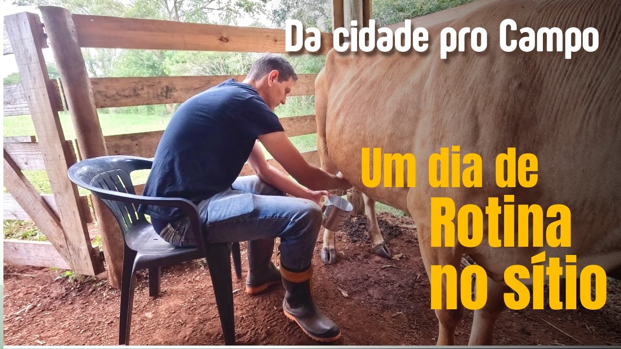 DO AMANHECER AO ANOITECER NO SÍTIO
