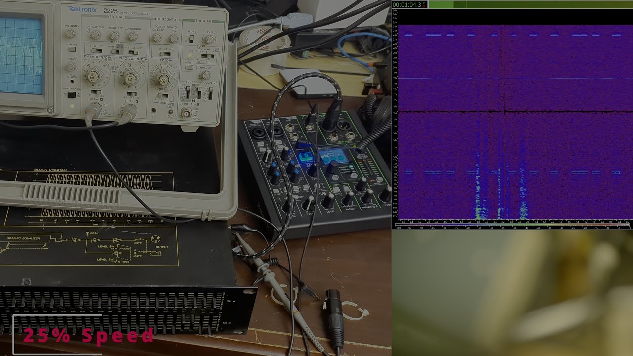 The Dreaded & Infamous high frequency 'beeping' EMI problem with sandisk cards in the Lumix S5IIx