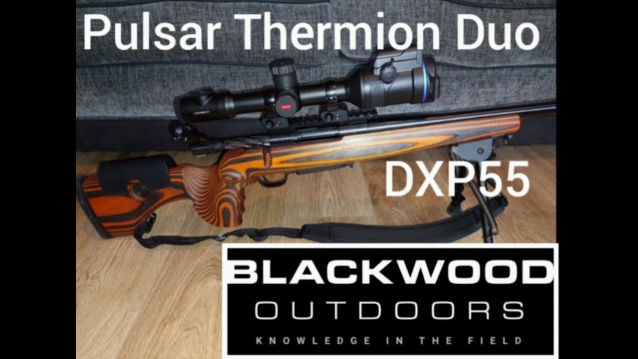 Pulsar Thermion Duo DXP55 footage and review.
