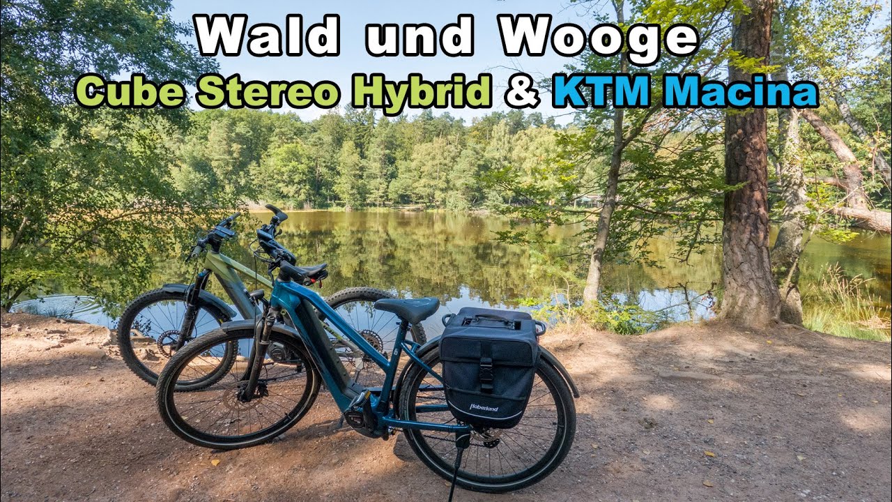Wald und Wooge in der Nordpfalz | Cube Stereo Hybrid & KTM Macina