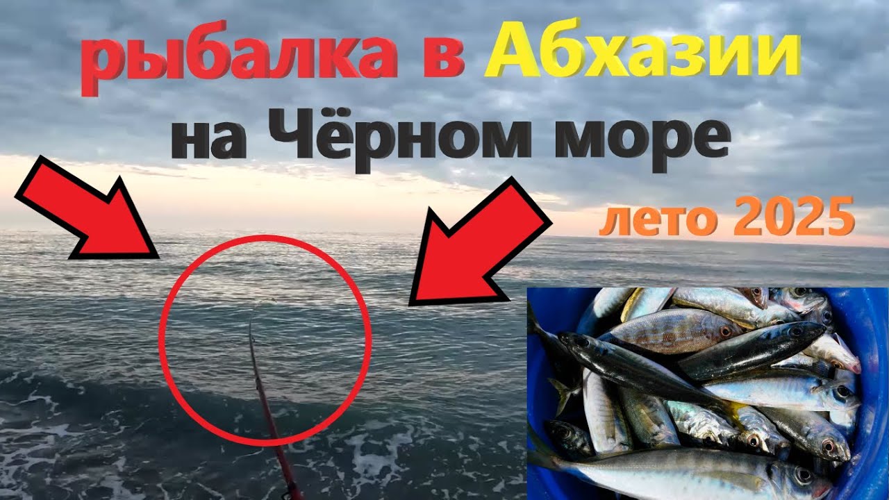Рыбалка с берега на закате в Абхазии в Пицунде!!! Рыбалка в Пицунде на Чёрном море летом 2025.