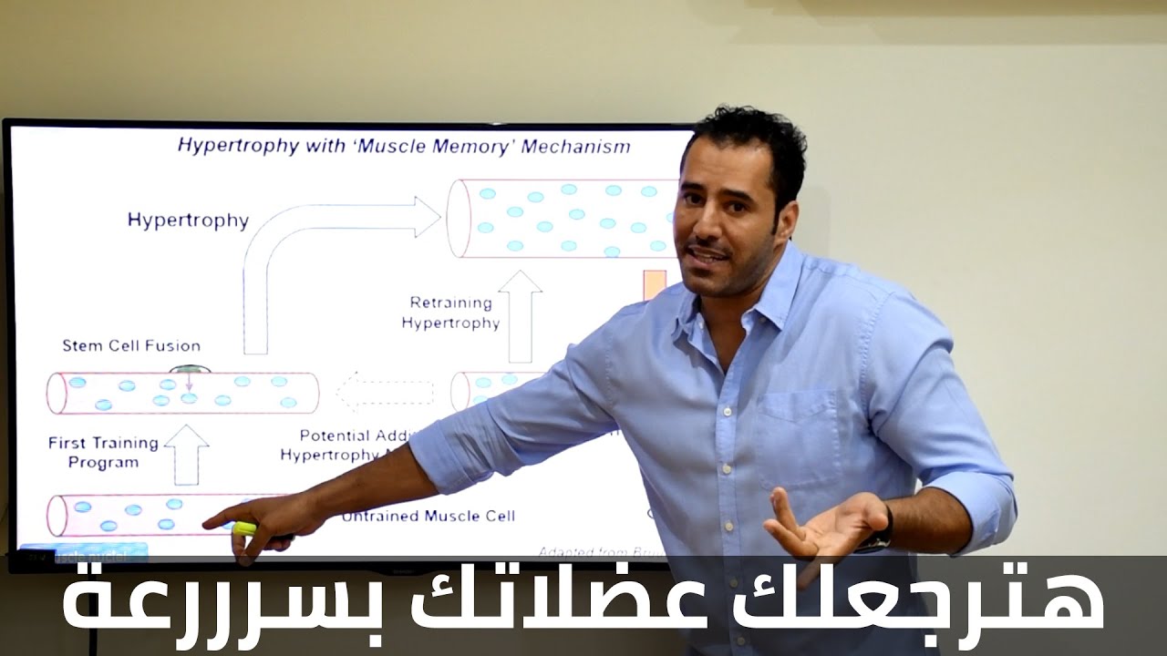 ما هي الذاكرة العضلية؟