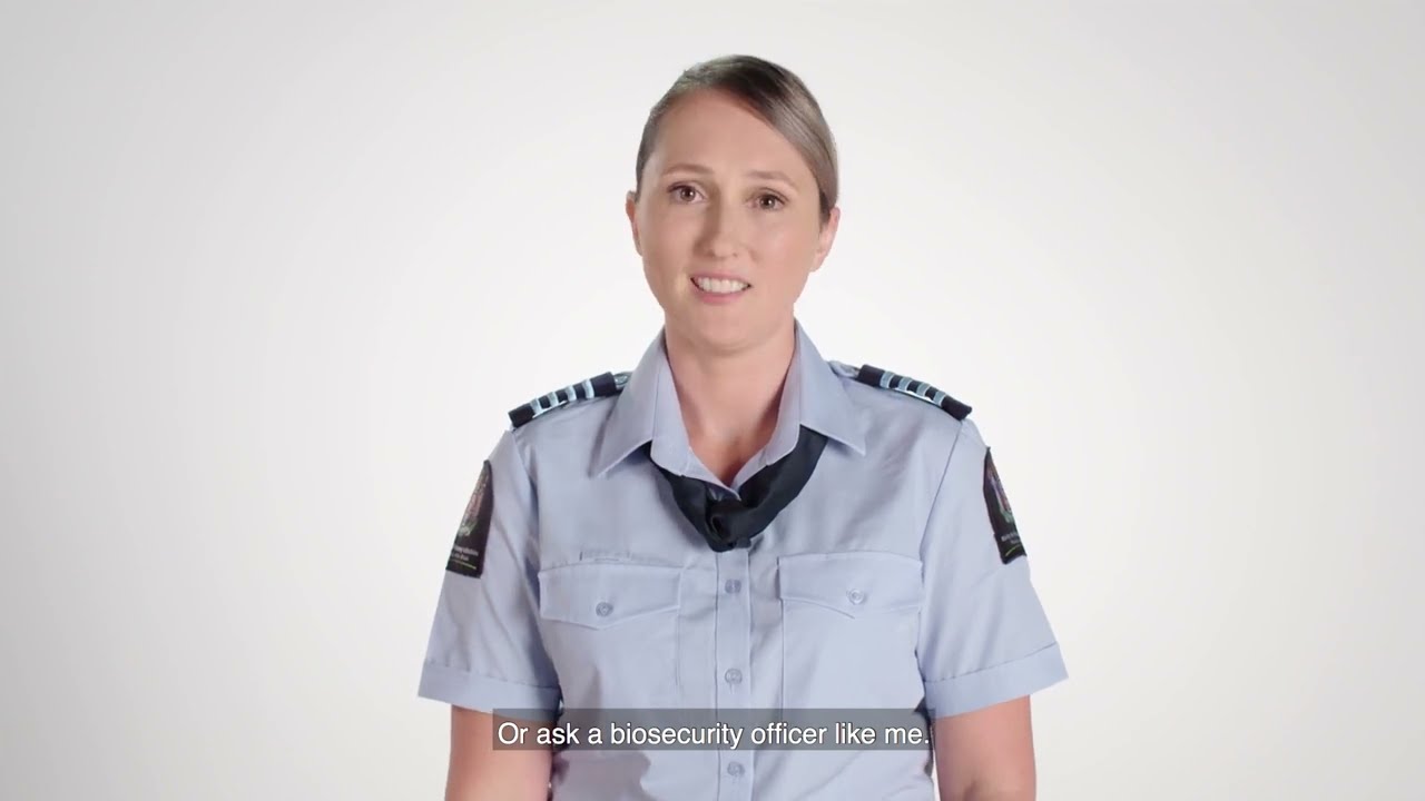 2023 Biosecurity New Zealand In flight video