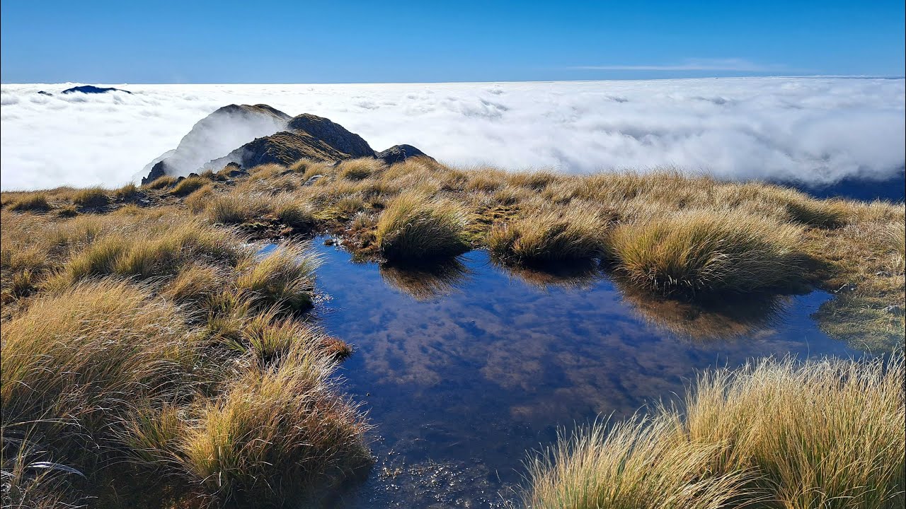 Tararua Hike - Cone-Hector-Alpha Loop 2024 (partial southern crossing)