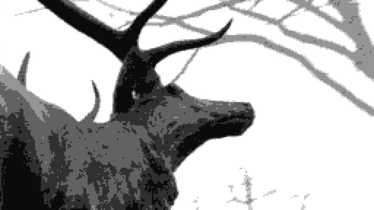 Agalloch - In the Shadow of Our Pale Companion (8-bit Version)