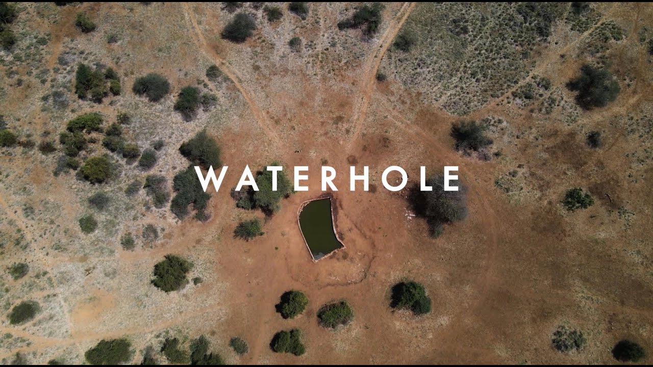 Waterhole: Full Length Film