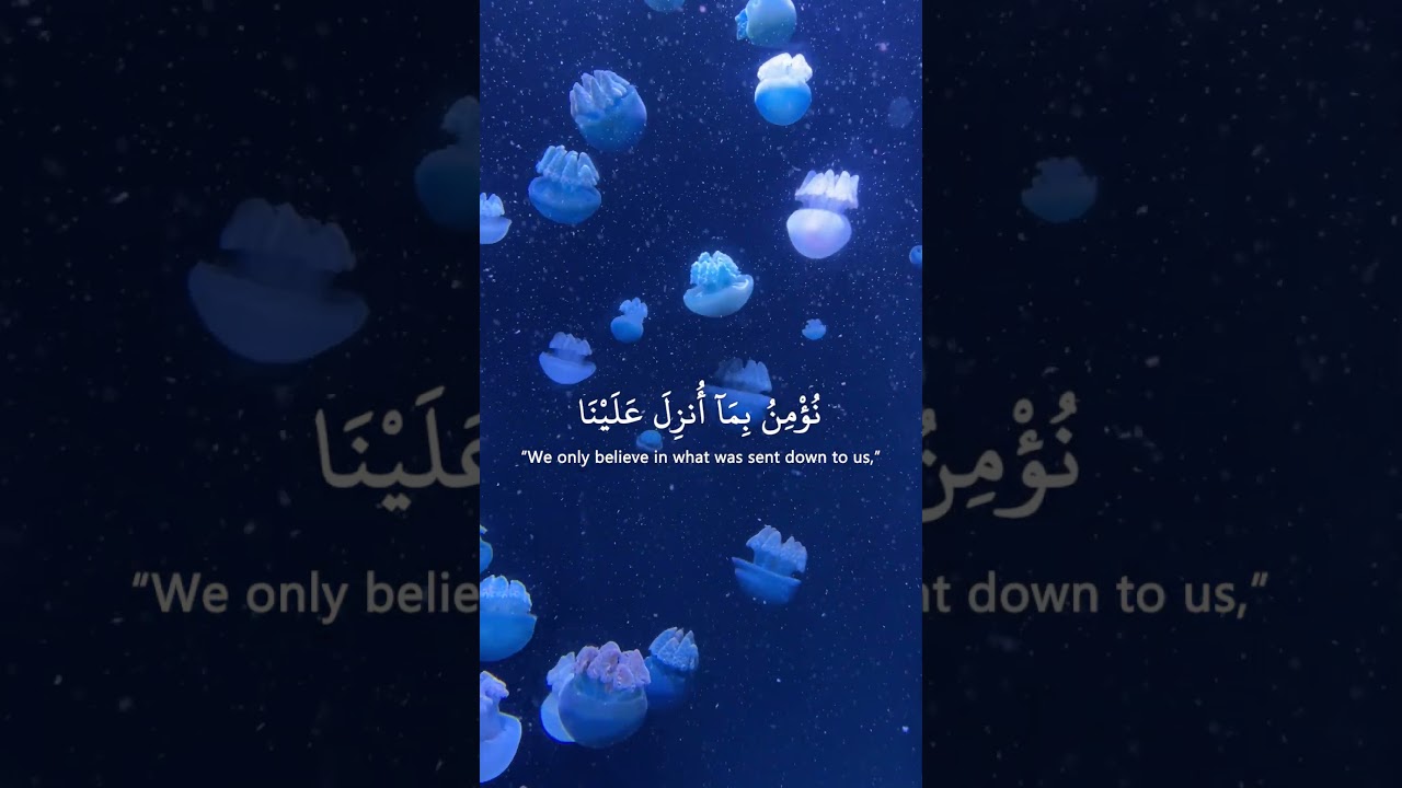 Listen Quran Daily | Episode 30