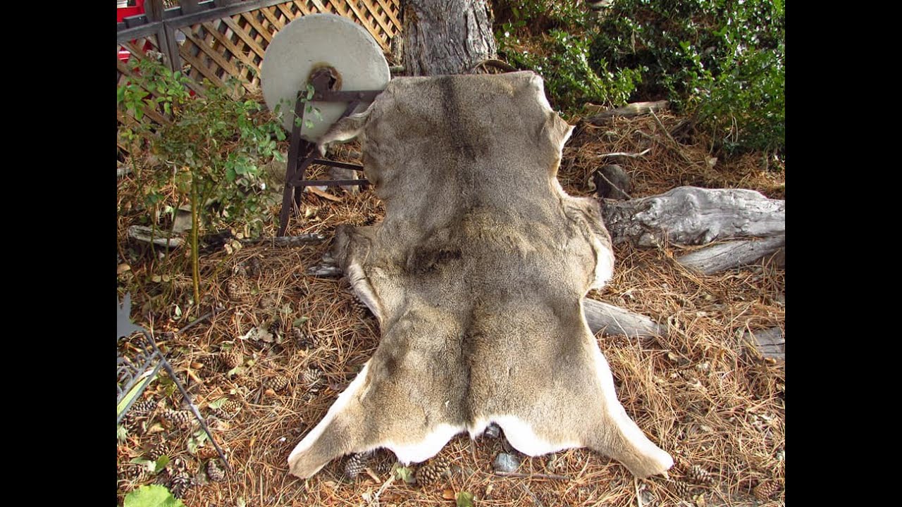 Deer Hide Tanning: Salt and Borax Method