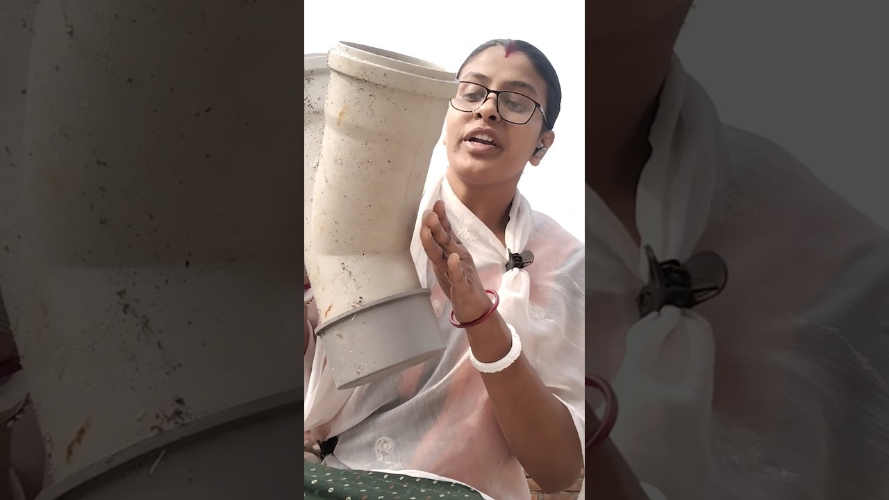 mamata banerjee top funny video🤣|