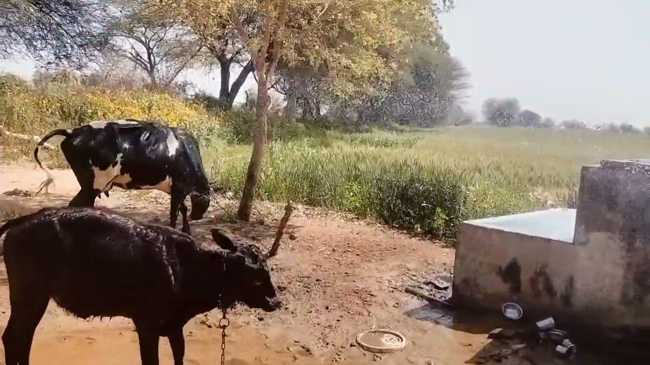 6 मार्च 2026