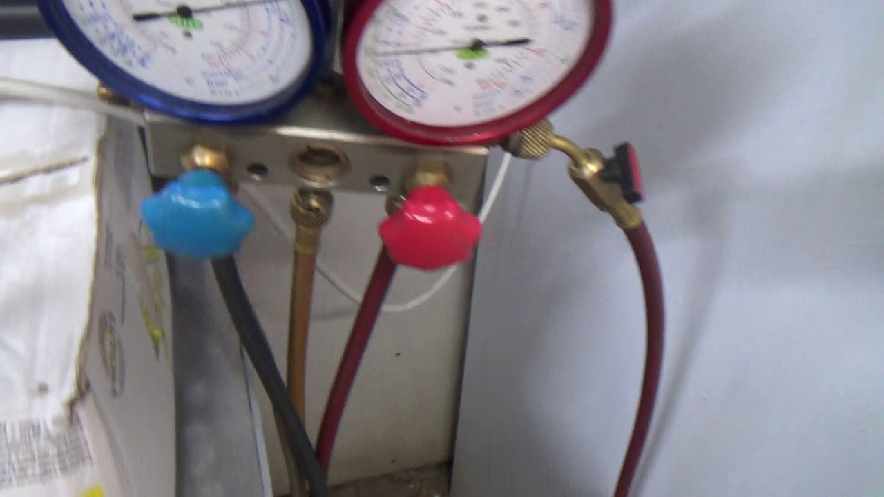 Zanotti Multiple Offender!