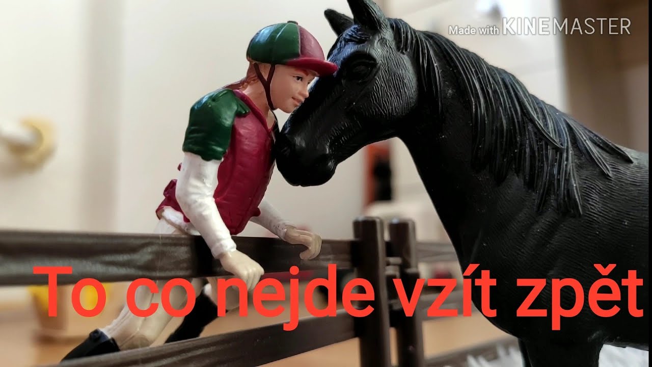 To co nejde vzít zpět (film)/ Schleich
