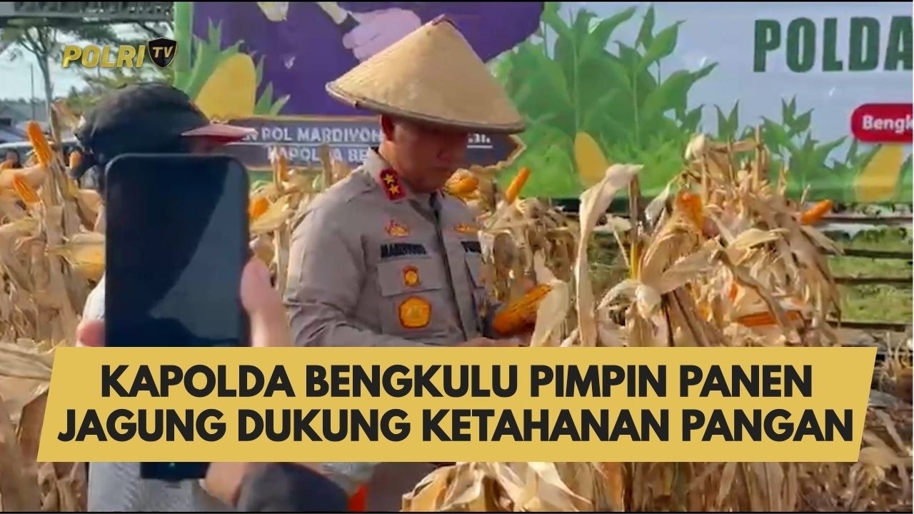 KAPOLDA BENGKULU PIMPIN PANEN JAGUNG DUKUNG KETAHANAN PANGAN