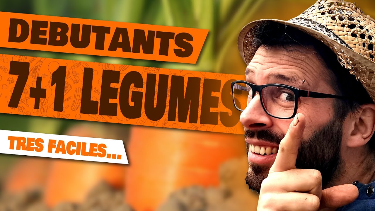 CULTURE FACILE - 7 l&eacute;gumes - Potager D&eacute;butant
