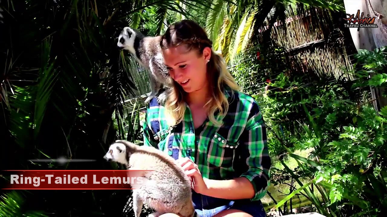 Cango Wildlife Ranch unique Animal Encounters