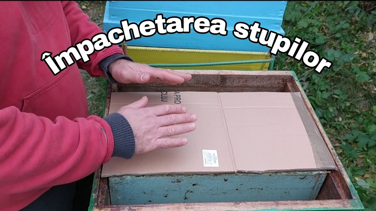 Împachetarea stupilor pentru iarnă
