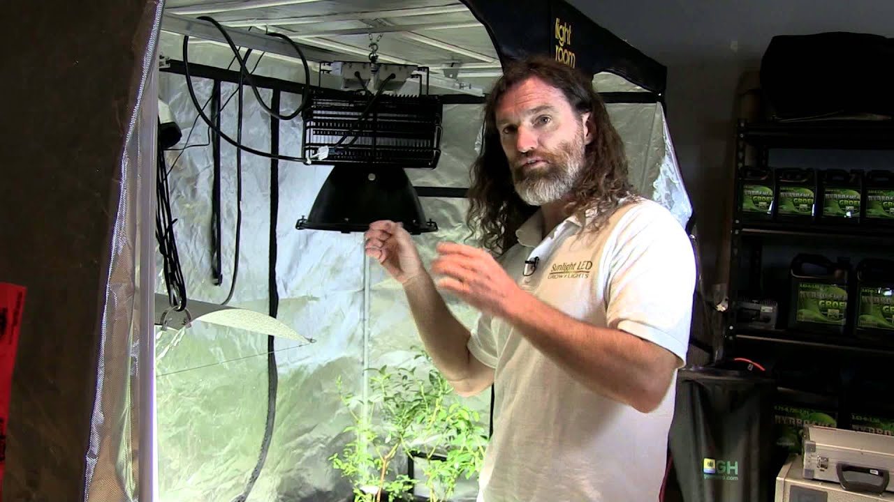 Spectrum King LED Grow Light Mimics True Sunlight!