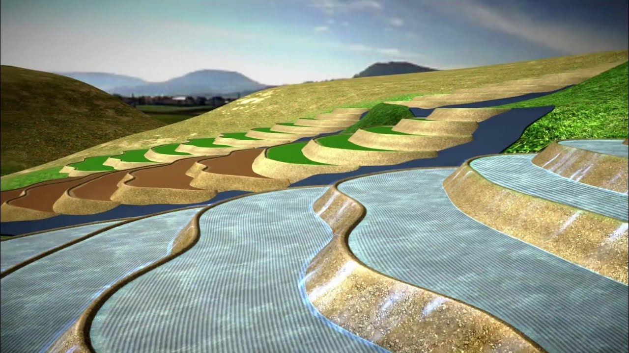 Soil Erosion [NCERT] 🌍 | 3D Animation in Hindi
