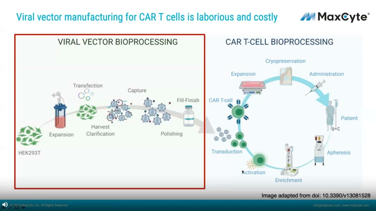 A cGMP Compatible, Non-Viral CAR T Cell Manufacturing Process