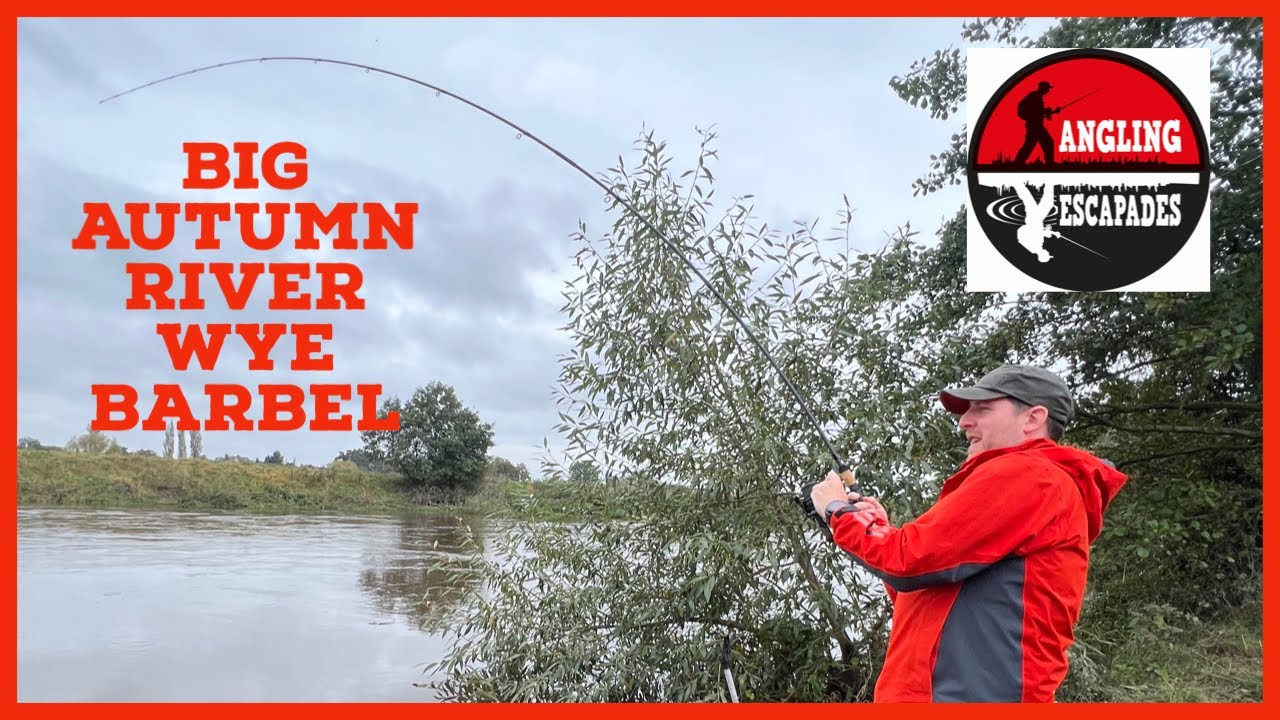 Big River Barbel fishing on an Autumn River Wye