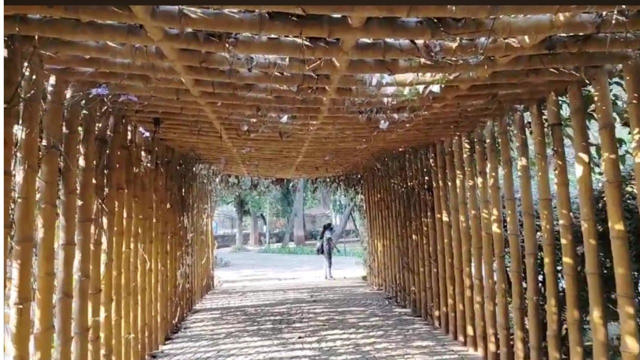 Mumbai sion koliwada beautiful garden#videoviral🪴🪴🪴