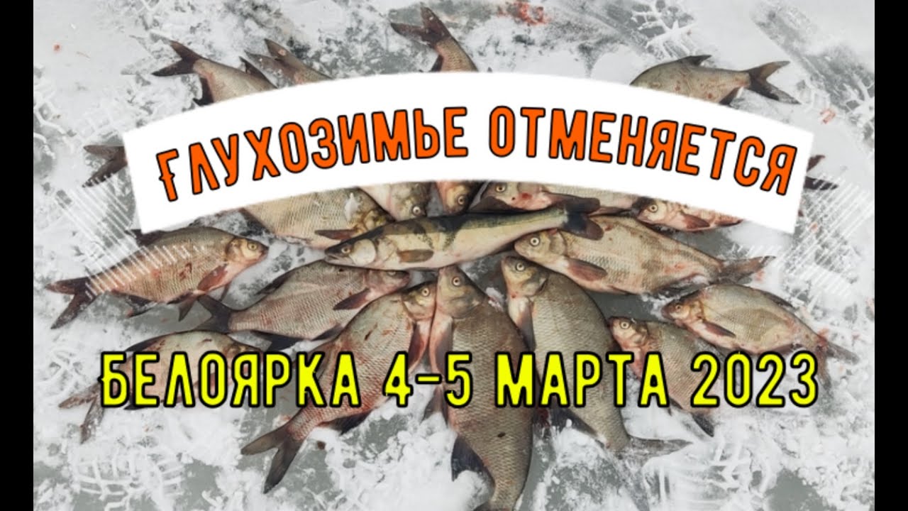 Лещ на коромысло. Глухозимье отменяется. Белоярка 4-5 марта 2023