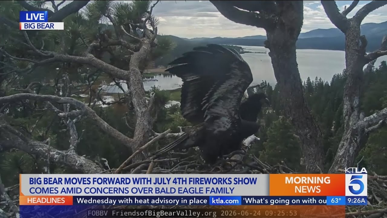 Big Bear holding fireworks show despite bald eagle family concerns