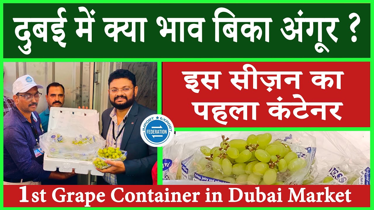 Grape Export Selling Rate in Dubai Market. दुबई में क्या भाव बिका अंगूर ? इस सीज़न का पहला कंटेनर