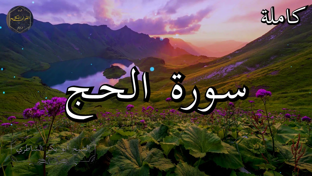 سورة الحج كاملة بصوت جميل جدا الشيخ أبو بكر الشاطري 🌹