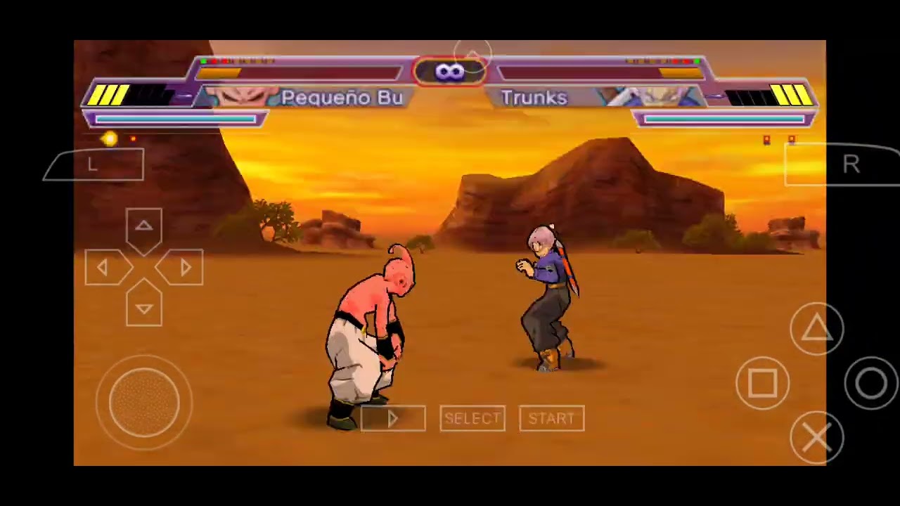 Torneo del  shin budokai 😎