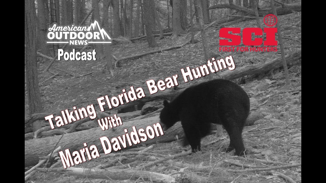 Florida bear Hunt