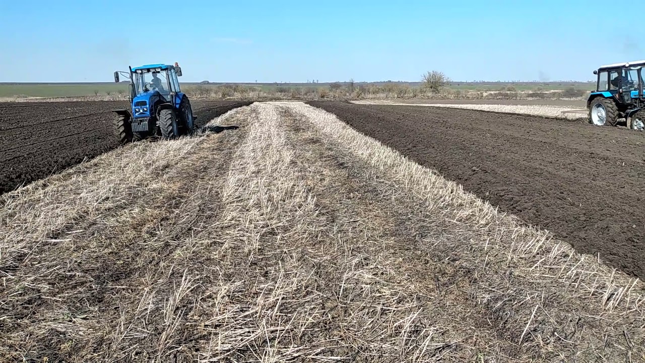 весняна горанка 82 SA пронар і мтз 82 Беларус