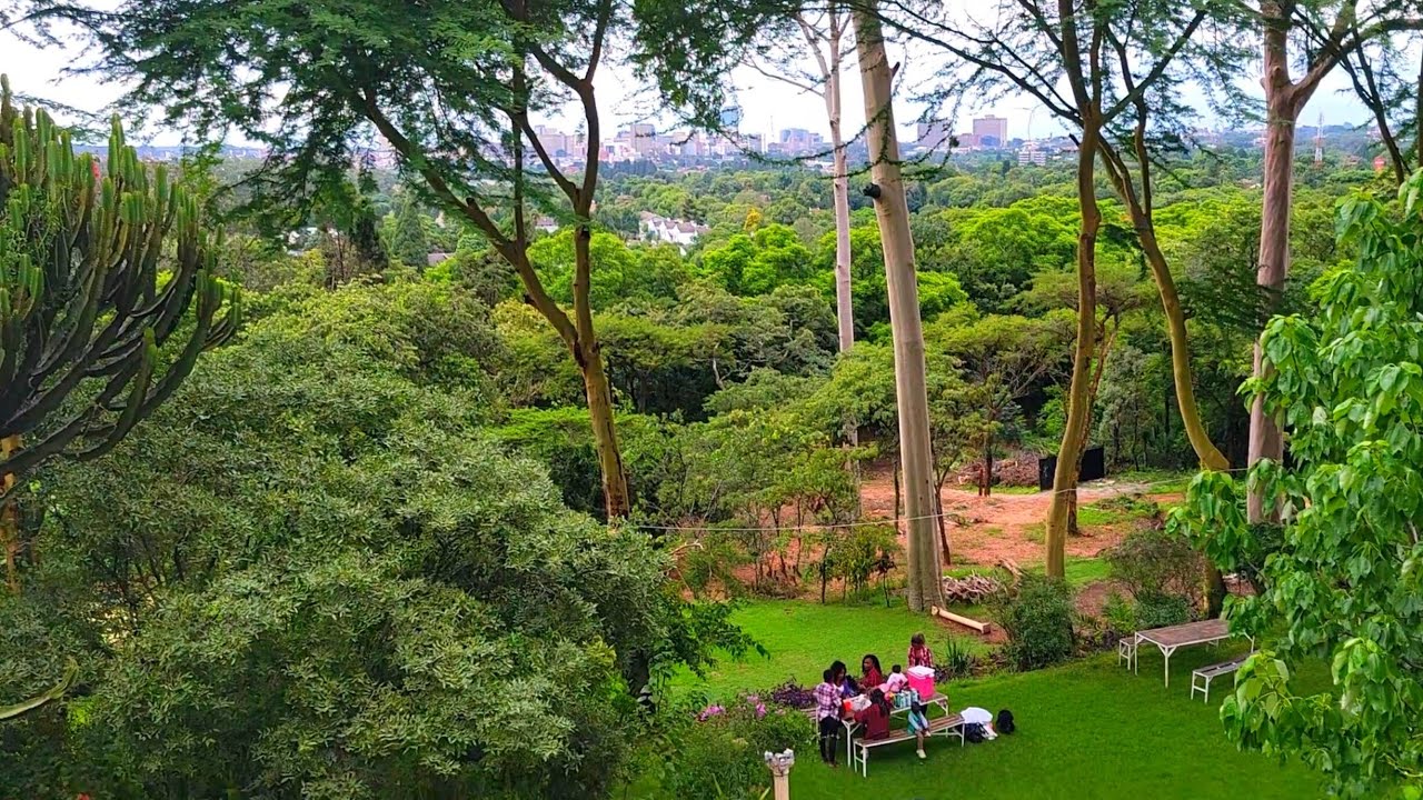 Hillside, Harare Zimbabwe | Places to visit in Zimbabwe part 1