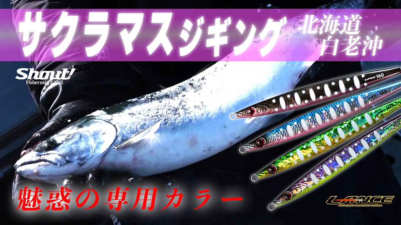 魅惑の専用カラー『ランス』でサクラマスジギング【北海道 白老沖】