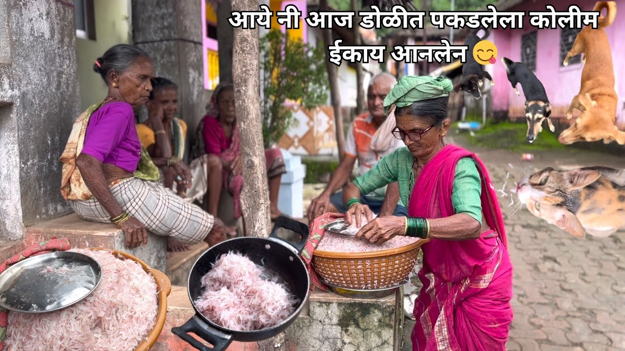 आई सोबत आज खाडीतला ताजा कोलीम ईकाय फिरलो । कोकणातील एक सुंदर गाव । Konkan Village Life 