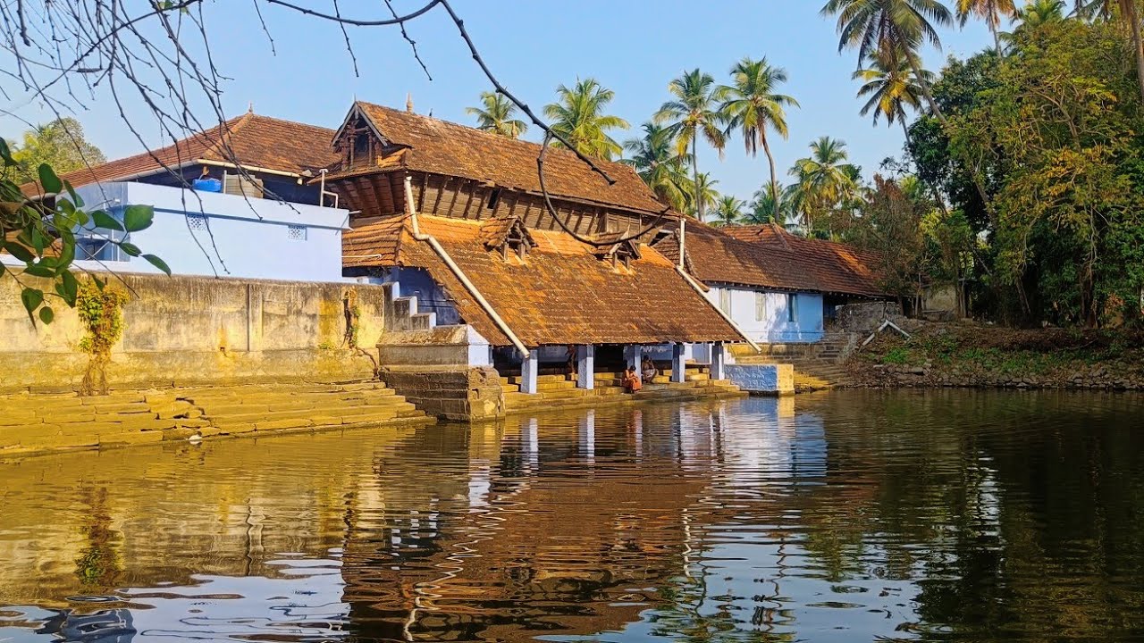 നൂറുകണക്കിന് പൂവൻ കോഴികളുള്ള പഴയന്നൂർ ഭഗവതി ക്ഷേത്രം l pazhayannur temple l pazhayannur