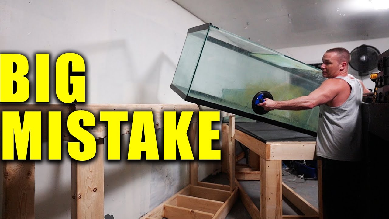 How i built the fish tank stands and moved the aquariums - The ing of DIY