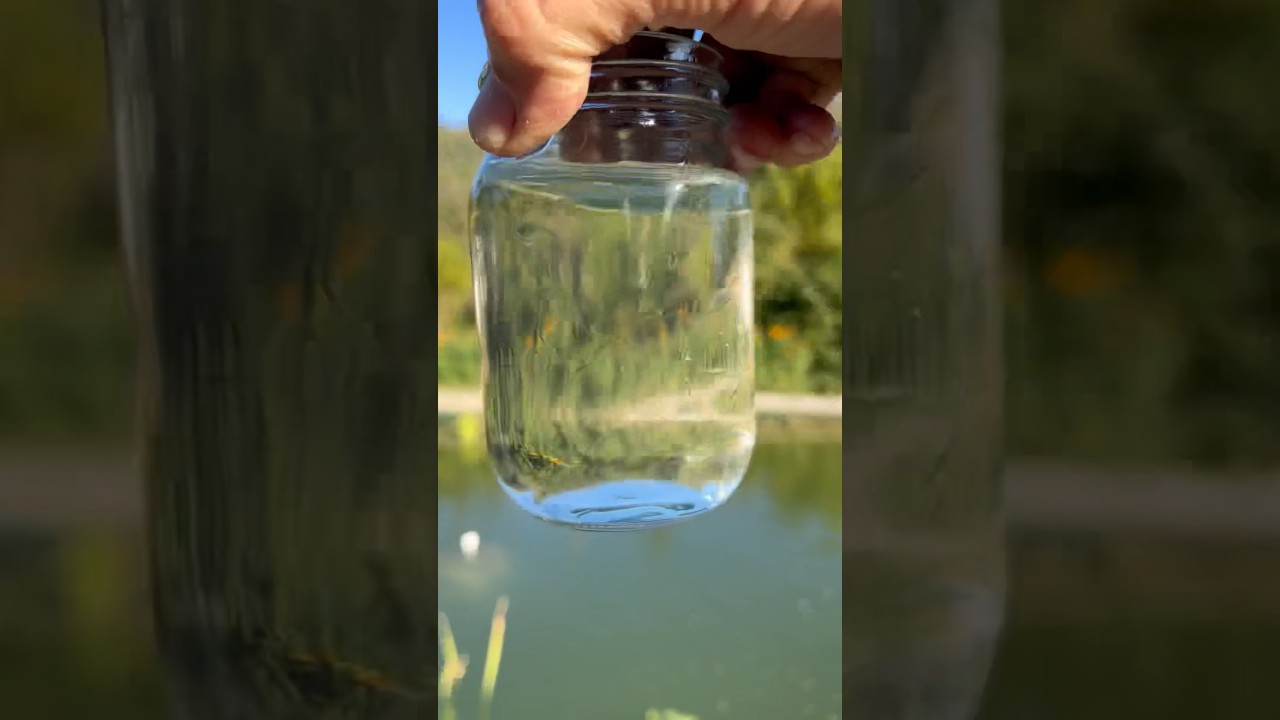 Only low maintenance filter you need for clear water!
