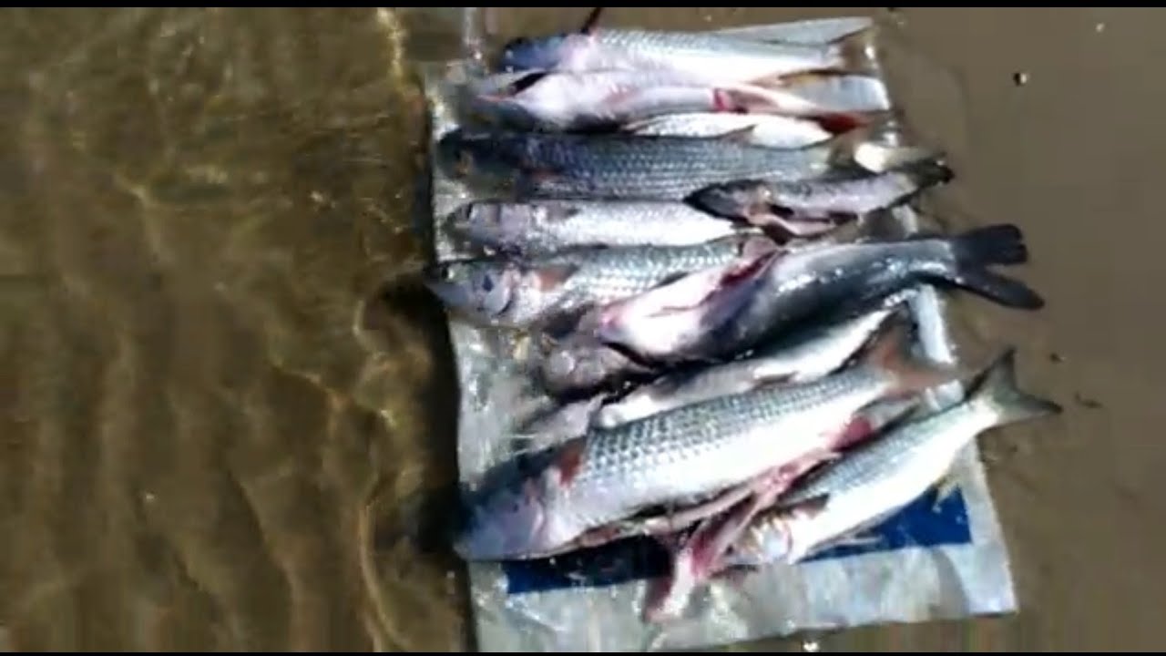 PESCA LAGOA DOS PATO/ RS