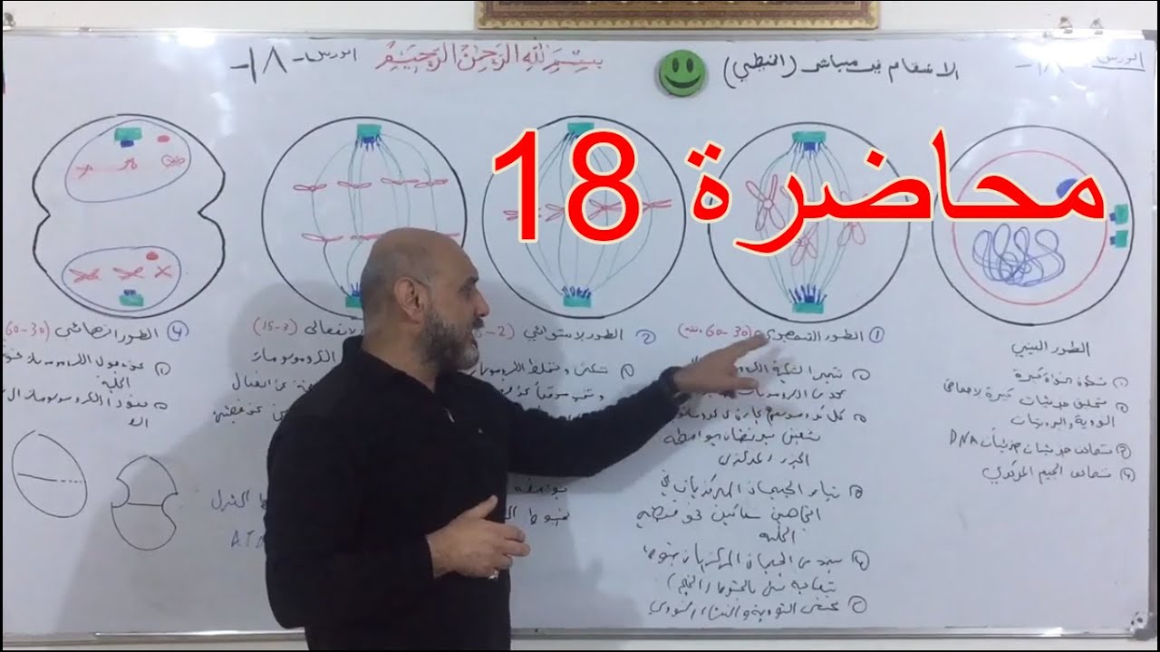احياء السادس العلمي الفصل الاول الخلية محاضرة 18/ اطوار الانقسام غير مباشر الاطوار الاربعة