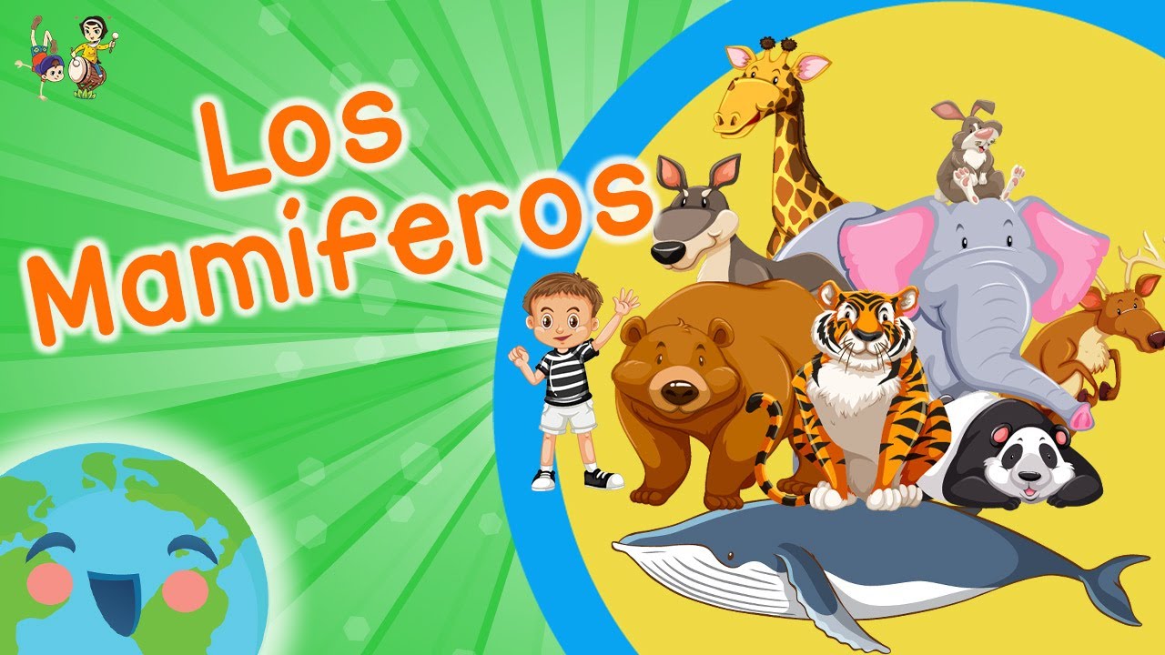 ¿Que Son Los Mamiferos? (Videos Educativos para Niños)