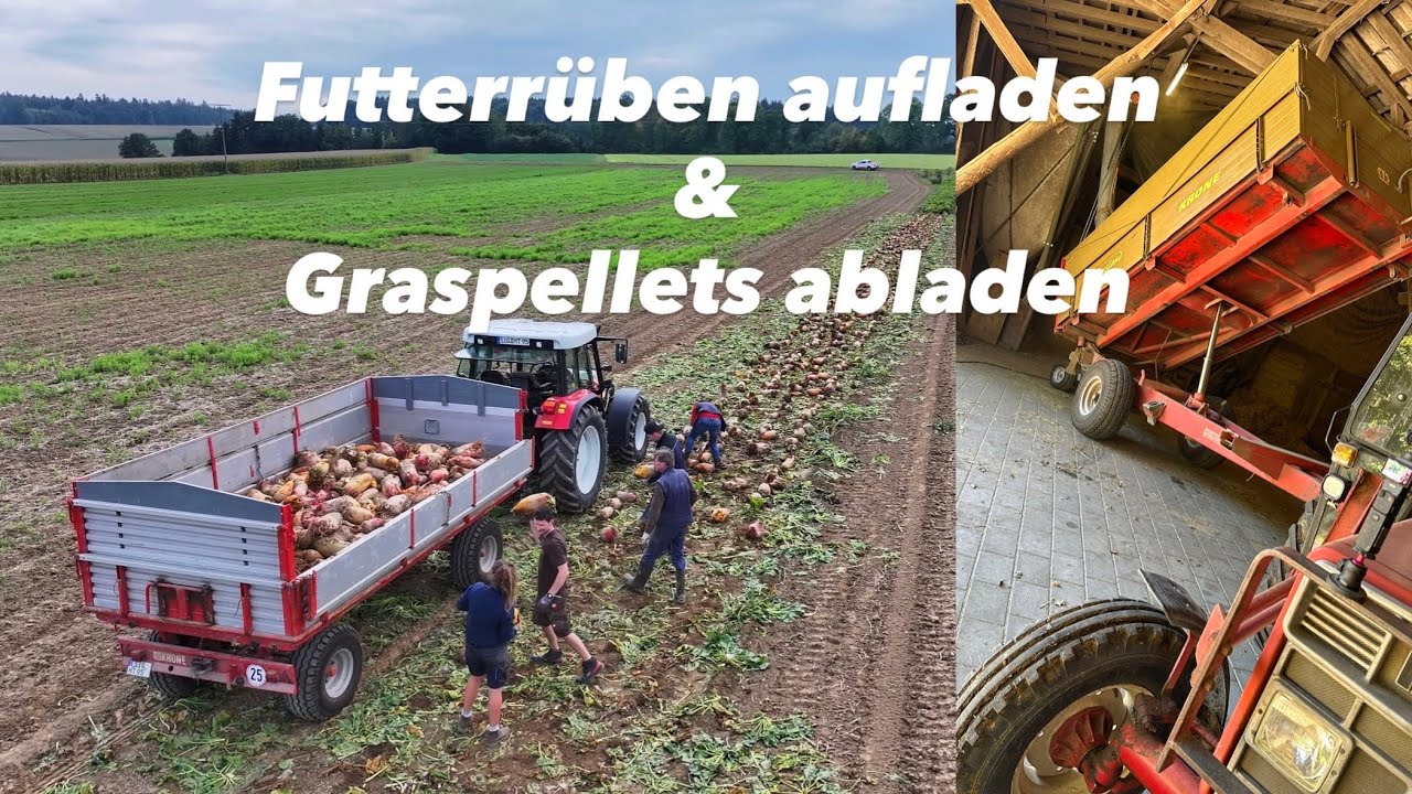 Pellets und Rüben | Bauernhofteam |