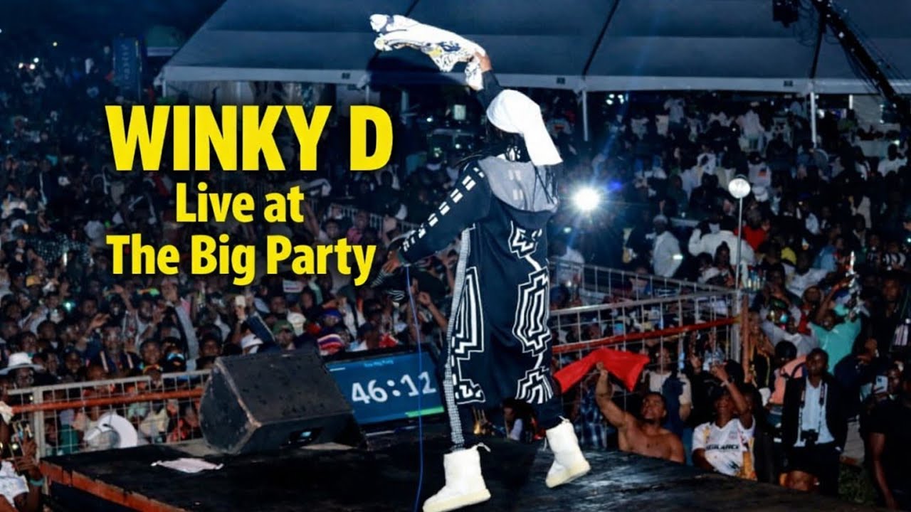 Winky D shuts down the stage at The Big Party 💥🔥Gaffa energy, real Zim dancehall,🇿🇼🎤 Hype & Street 🔥