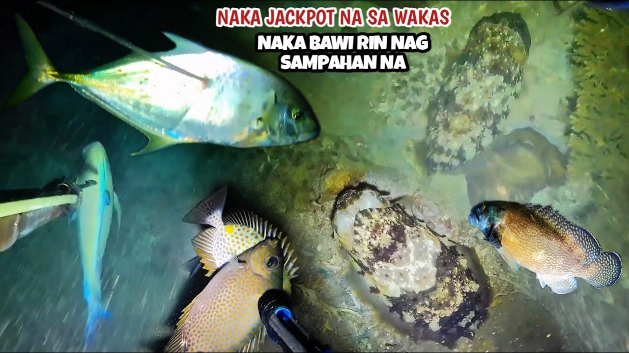 Ep461 Naka JACKPOT na sa wakas naka bawi rin nag sampahan na 😱 #spearfishing #fishing #fish 