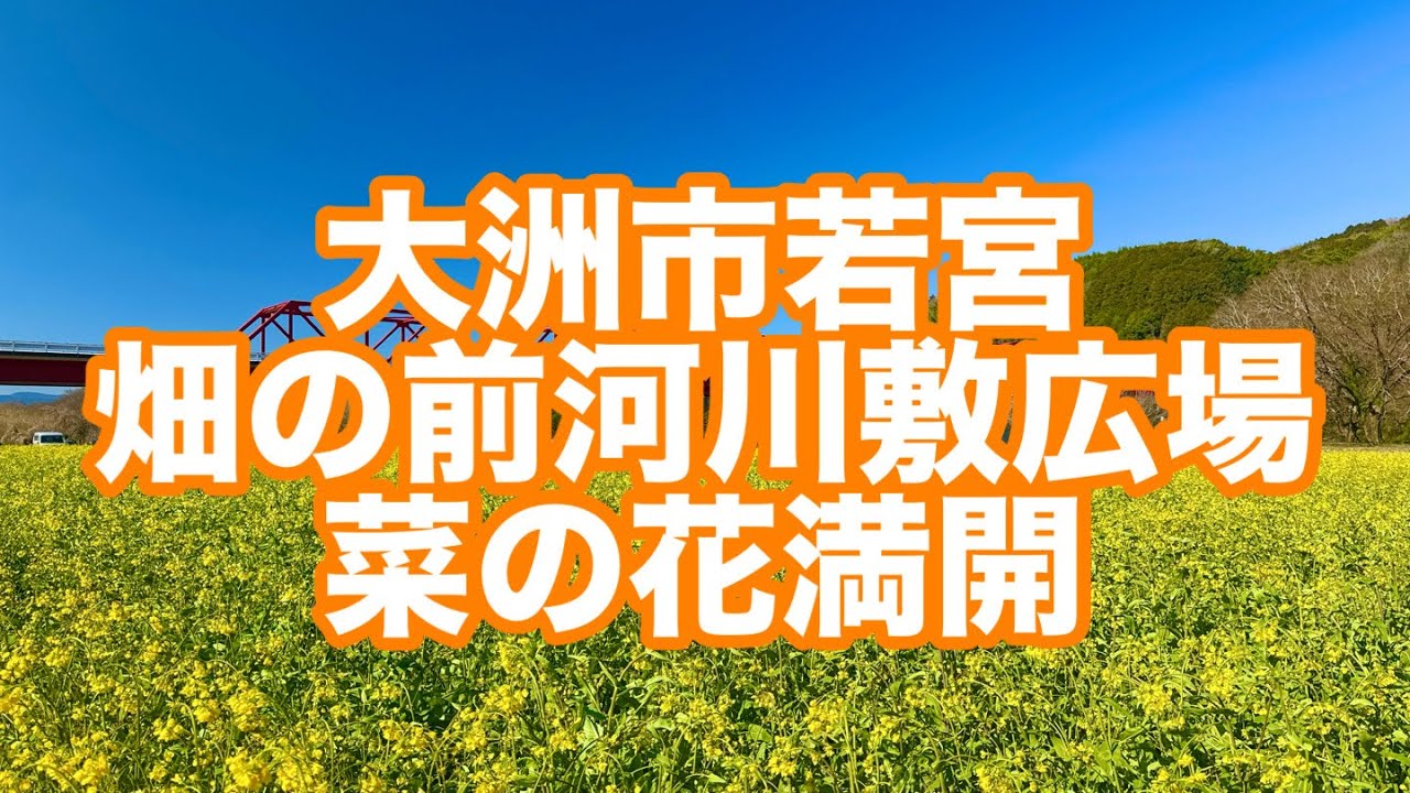 大洲市若宮 畑の前河川敷広場(2026.3.11)