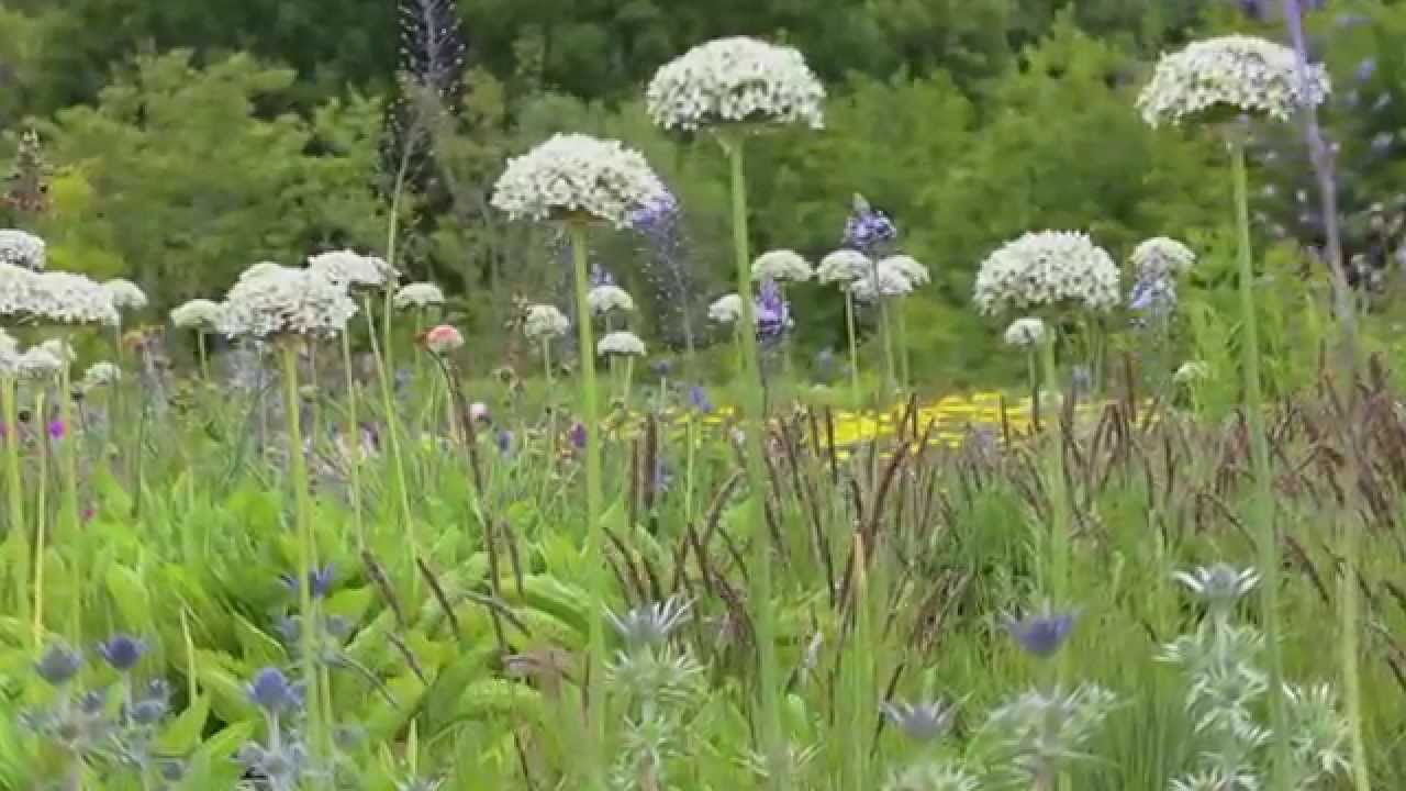 DE VLINDERHOF juni 2015